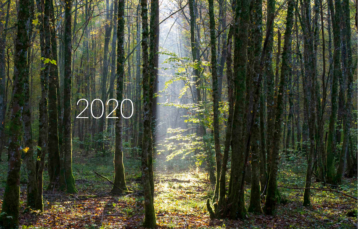 Mes voeux pour 2020 Mes voeux pour 2020