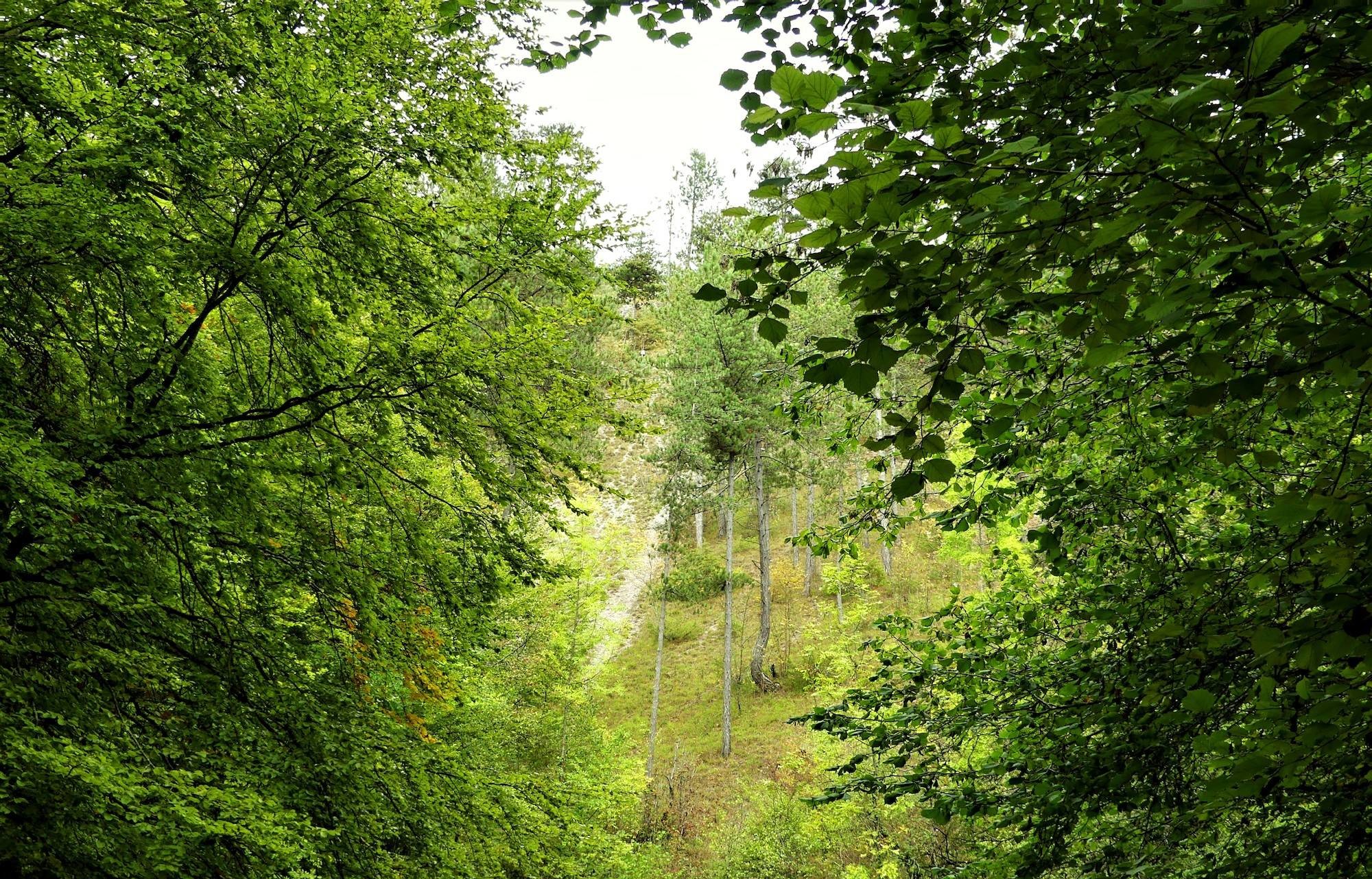 Le 11e Parc national français est créé ! Le 11e Parc national français est créé !