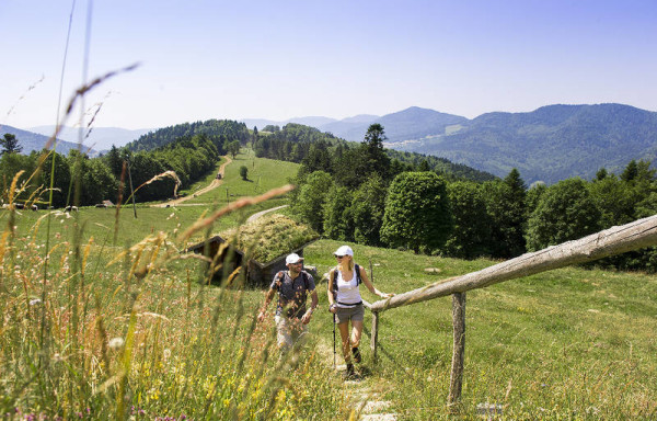 Imaginons le Massif des Vosges en 2040 ! Imaginons le Massif des Vosges en 2040 !