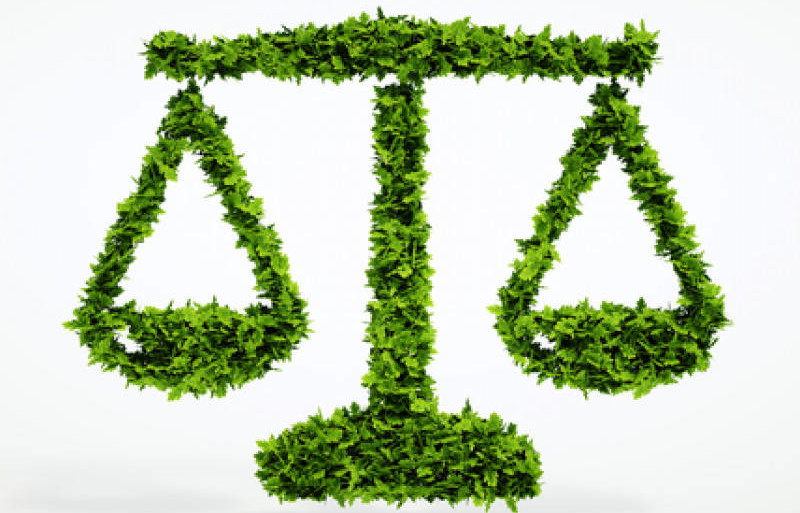 Je soutiens l'inscription de l'environnement à l’article 1er de la Constitution Je soutiens l'inscription de l'environnement à l’article 1er de la Constitution